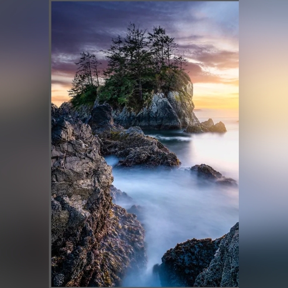 Print - Picture 2 of 2